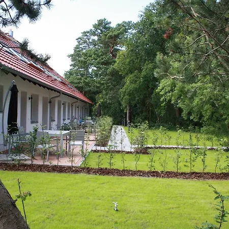 Haus Düne31 Daire Binz