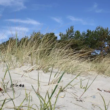 Haus Dune31 *