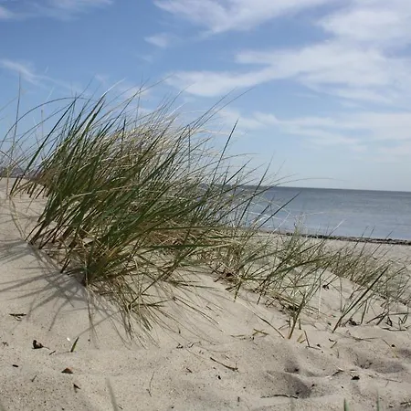 Haus Dune31